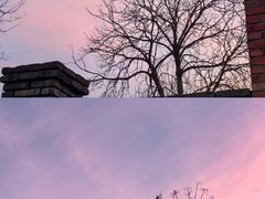-三里河公园