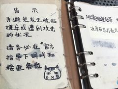 -海边的猫和咖啡馆