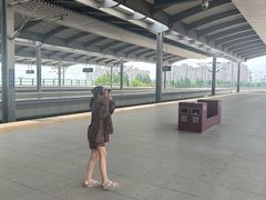 -沈阳南站