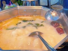 -新草堂锅物料理(泉城路店)