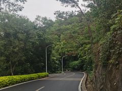 -狐尾山公园
