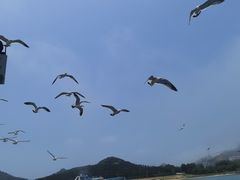 -海驴岛(荣成市)