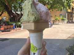 -柠檬车露(卖草地店)