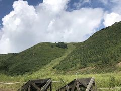-密苑云顶乐园