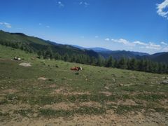 -五台山风景名胜区