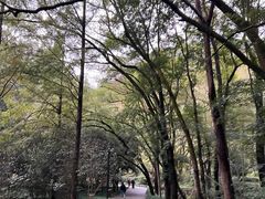 -石门洞景区