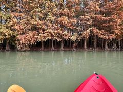 -上海海湾国家森林公园