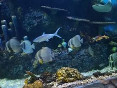 -华夏文旅海洋公园