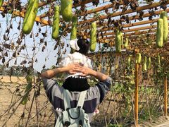 -中国天府农业博览园