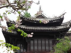 -乌镇景区