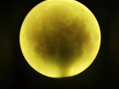 -深圳独角兽星空艺术馆