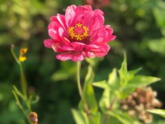 -渔公馆·川菜馆·家宴·生日宴(大地中央广场店)