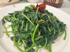 清炒番薯叶-眉州东坡·熊猫主题餐厅(枫蓝店)