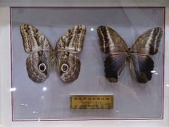 android_upload_pic-上海跨国采购会展中心