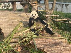-黔灵山公园