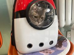 -纳吉亚猫专科动物医院博雅分院