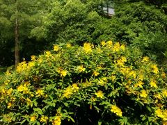-杭州花家山庄