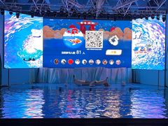 -海合安青岛极地海洋公园