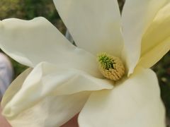 -宜兴龙背山森林公园