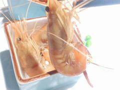 -姜君·千岛湖鱼头馆(浦东大道店)