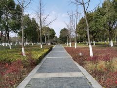 -九里河湿地公园