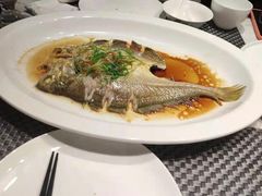 -金汤宴餐厅·粤菜(德云社店)