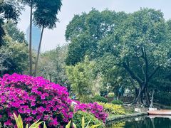 -晓港公园
