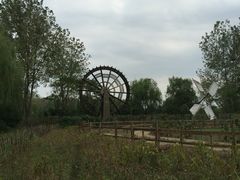 -溱湖国家湿地公园