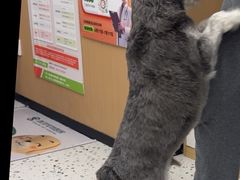 -瑞派康怡24h宠物医院·犬猫医疗中心·微创绝育(瑞景分院)