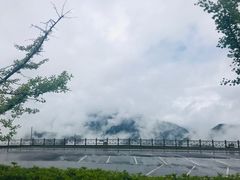-江南天池