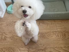 -FAELING PETS美天灵宠物(富力广场店)