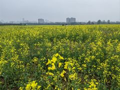 -汉长安城未央宫国家考古遗址公园