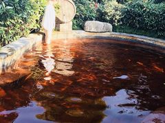 -杭州第一世界大酒店·云曼温泉