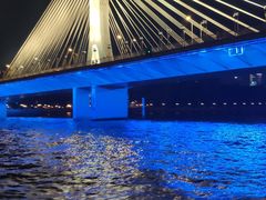 -珠江夜游省总码头