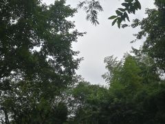 -天赐温泉