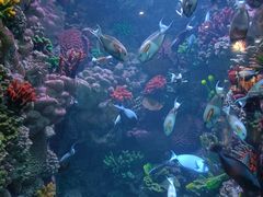 -海合安青岛极地海洋公园