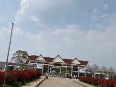 -上海都市菜园