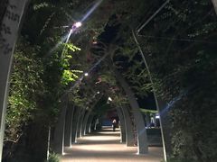 -布里斯班南岸公园