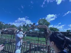 -齐齐哈尔龙沙动植物园