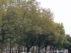 -复旦大学(张江校区)
