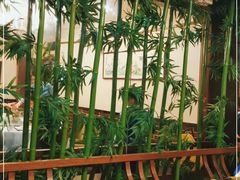 大堂-勝記酒家·37年老字号·经典粤菜(荔枝公园店)