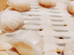 原汁鲜虾饺-利苑酒家(金宝店)