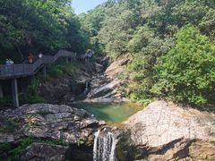 -广州白江湖森林公园