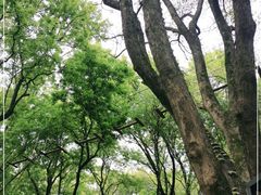-WeLope紫金山探险公园