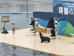 -秦皇岛乐岛海洋王国