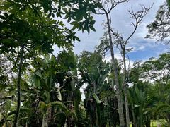 -中国科学院西双版纳热带植物园
