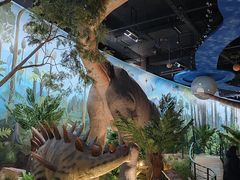 -陕西自然博物馆