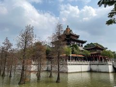 -顺峰山公园