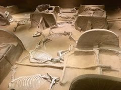 -洛阳周王城天子驾六博物馆