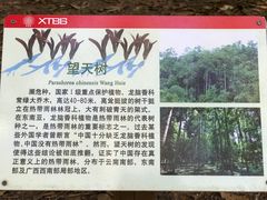 -中国科学院西双版纳热带植物园